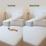 LuxeSteam Pro auf Teppich