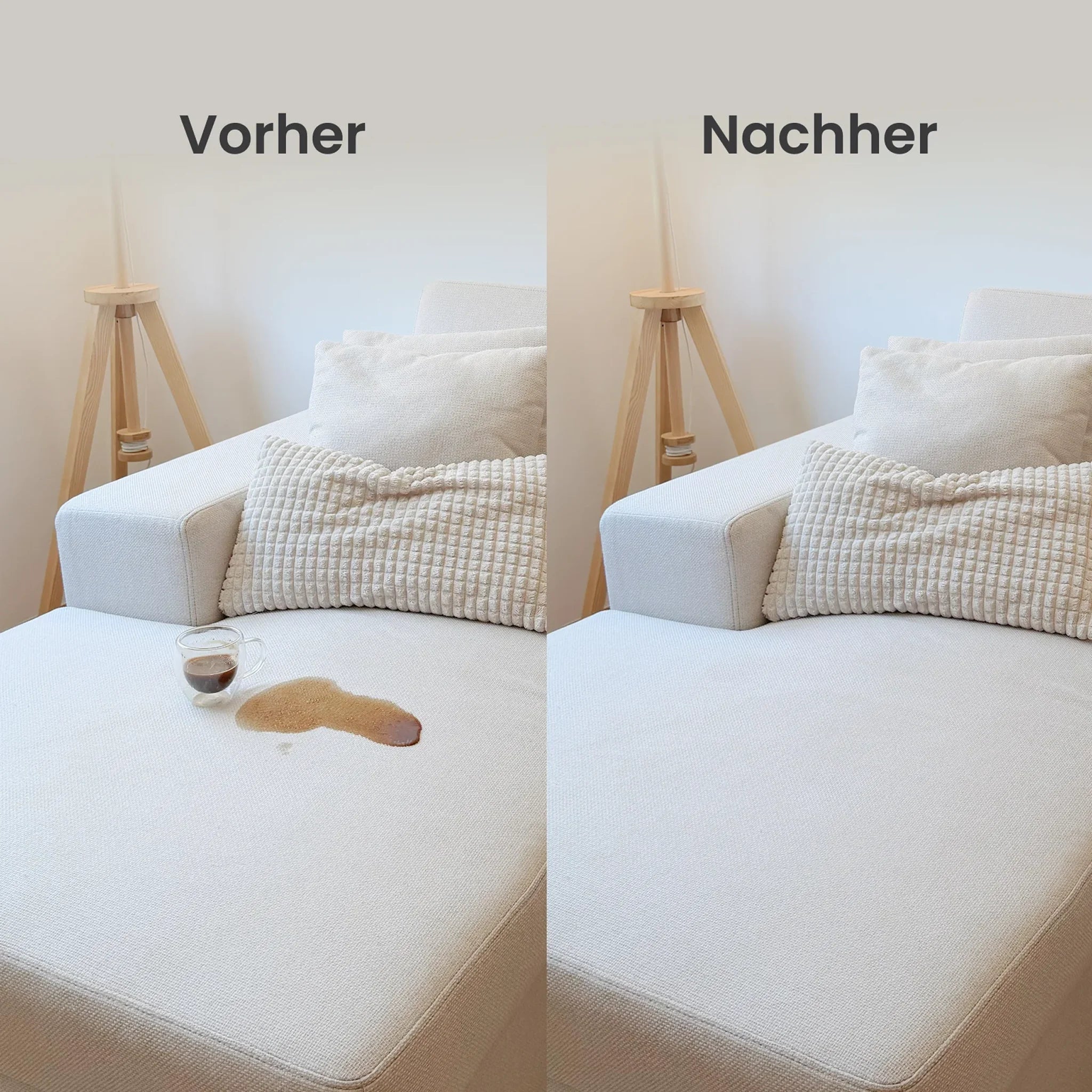 LuxeSteam Pro auf Teppich
